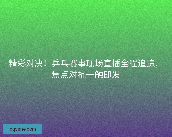 精彩对决！乒乓赛事现场直播全程追踪，焦点对抗一触即发