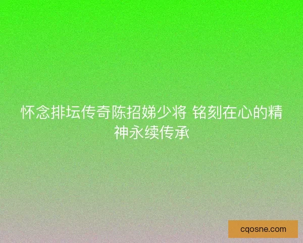 怀念排坛传奇陈招娣少将 铭刻在心的精神永续传承