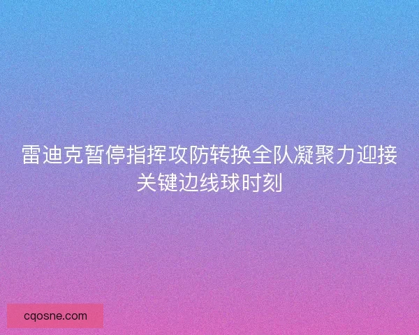 雷迪克暂停指挥攻防转换全队凝聚力迎接关键边线球时刻