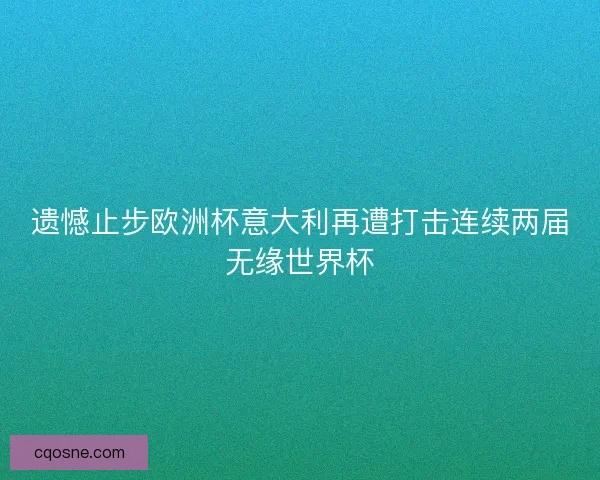 遗憾止步欧洲杯意大利再遭打击连续两届无缘世界杯 遗憾止步欧洲杯意大利再遭打击连续两届无缘世界杯