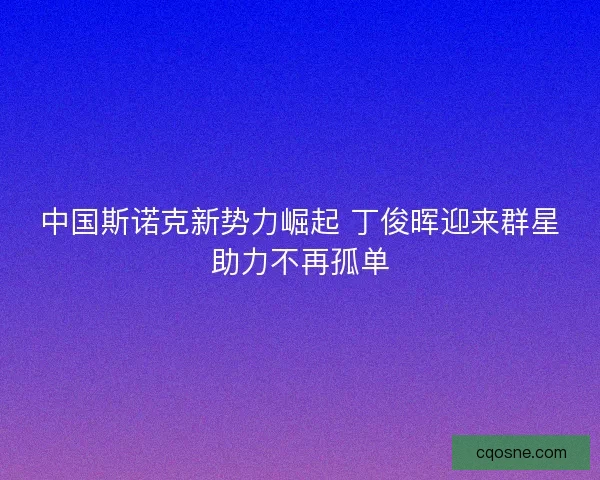 中国斯诺克新势力崛起 丁俊晖迎来群星助力不再孤单 中国斯诺克新势力崛起 丁俊晖迎来群星助力不再孤单