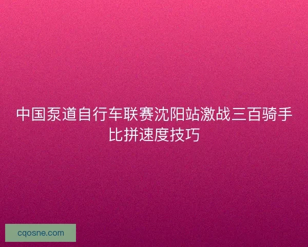 中国泵道自行车联赛沈阳站激战三百骑手比拼速度技巧 中国泵道自行车联赛沈阳站激战三百骑手比拼速度技巧